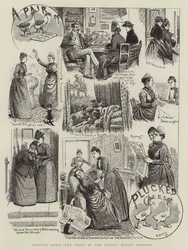 Gerupfte Gänse, die Geschichte der Gobang Mining Company